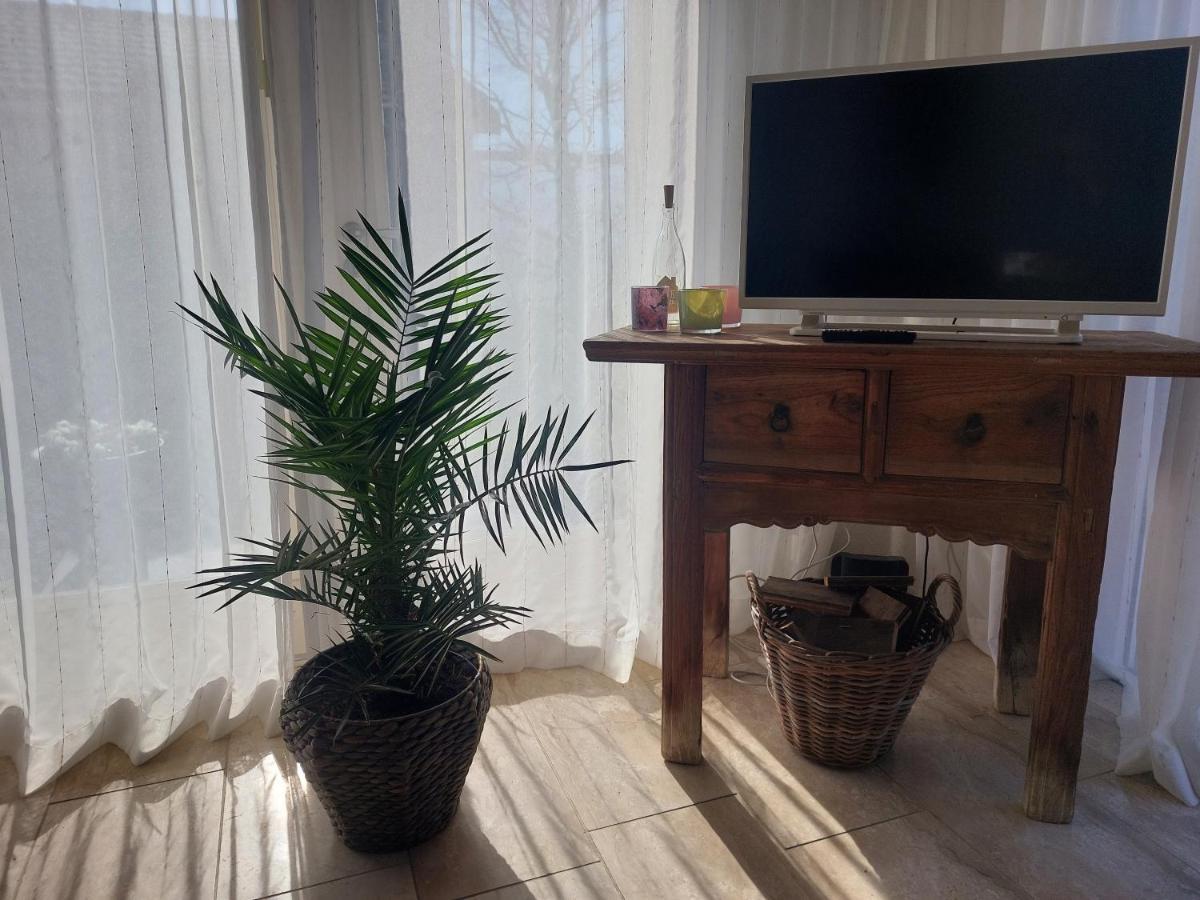 Cosy Petten, Family Only 외부 사진