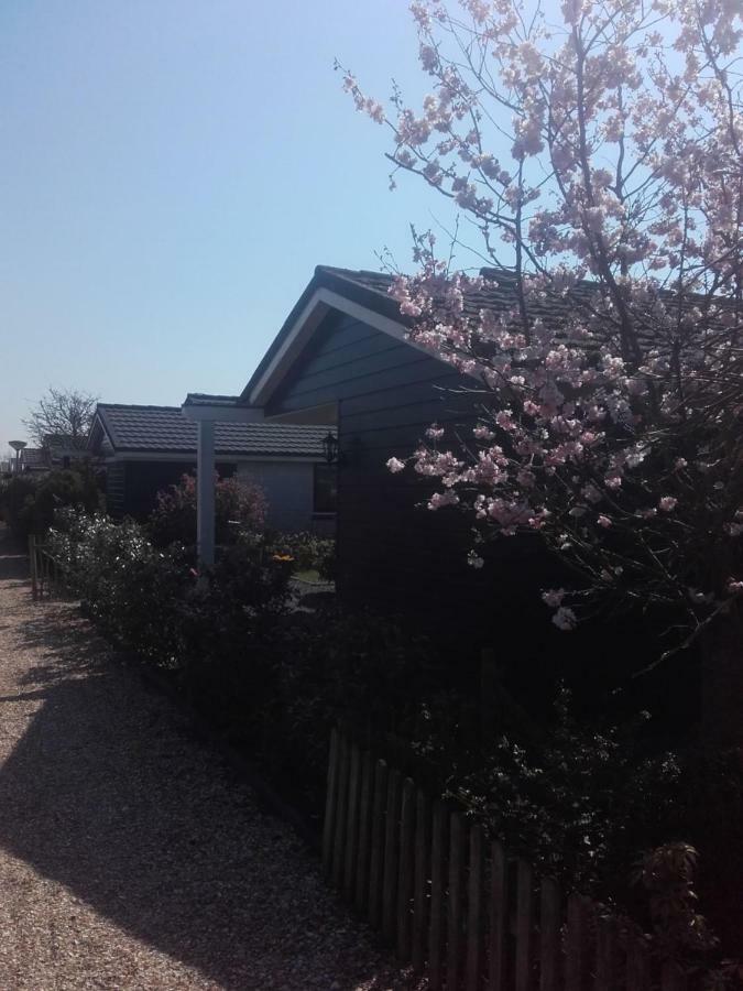 Cosy Petten, Family Only 외부 사진